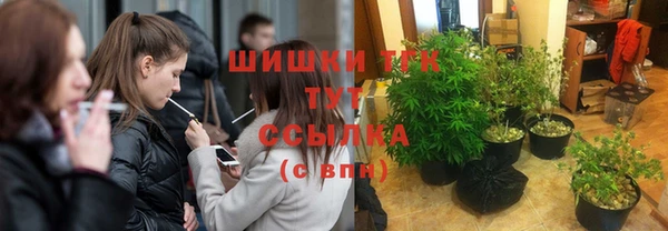 эйфоретик Баксан